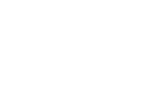 IBK_Grund_01 IBK Bullet – Made in Germany